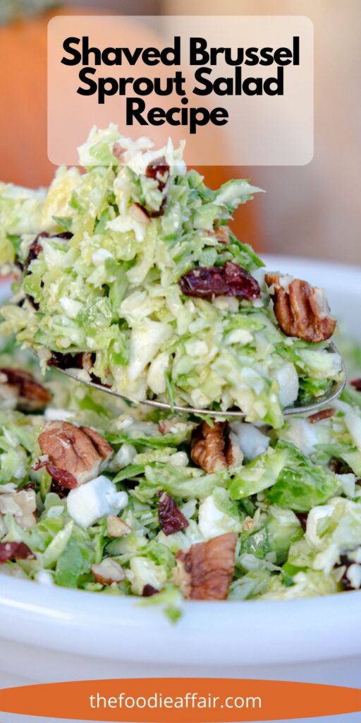 Shaved Brussel sprout salad is a delicious side dish to any main meal or a holiday side. Creamy dijon lemon vinaigrette folded with cranberries, goat cheese and toasted pecans. #Salad #BrusselSprouts #SideDish #holidaySide #Recipe