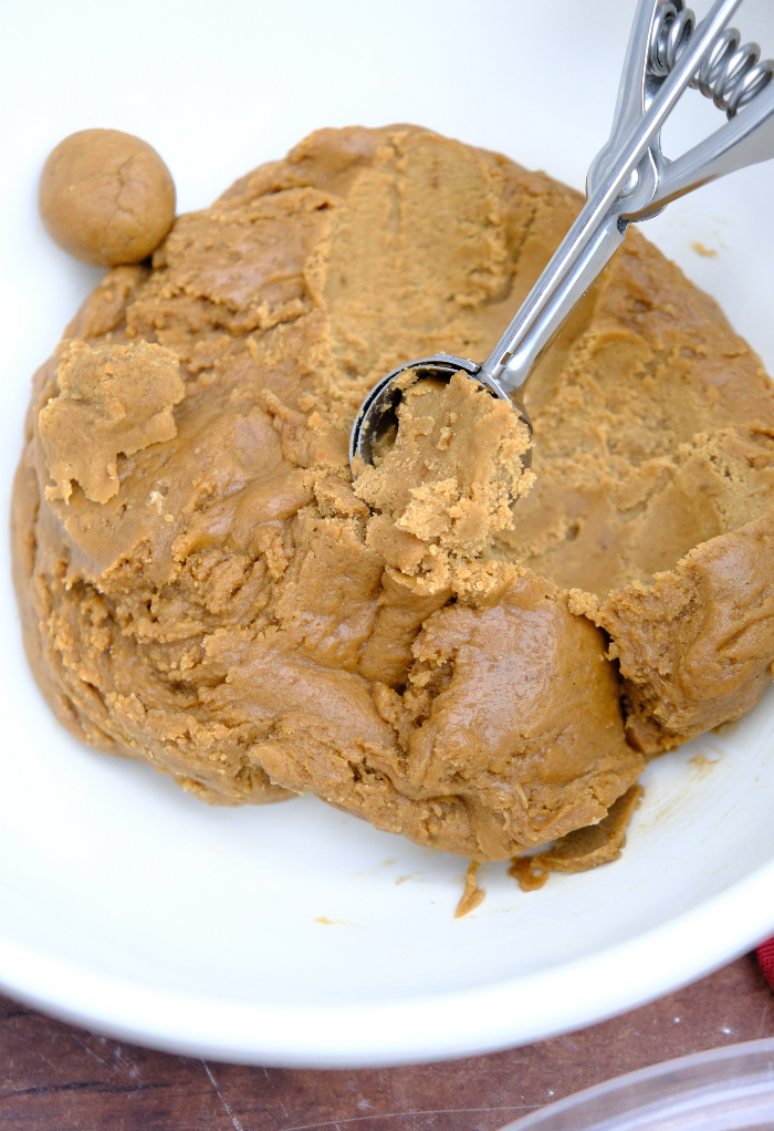 Scooping prepared gingersnap cookie dough before baking. 