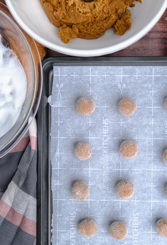 Unbaked gingersnap cookies on a baking tray ready to go in the oven.