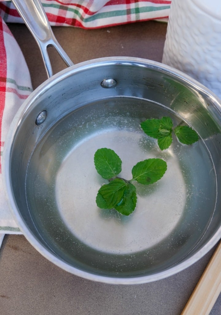 Simple syrup with a few mint leaves. 