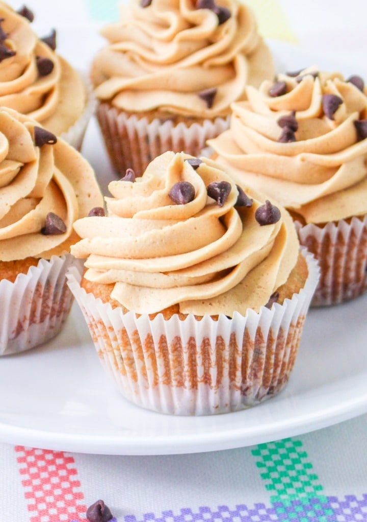 Chocolate chip cupcakes with peanut butter frosting topped with chocolate chips.