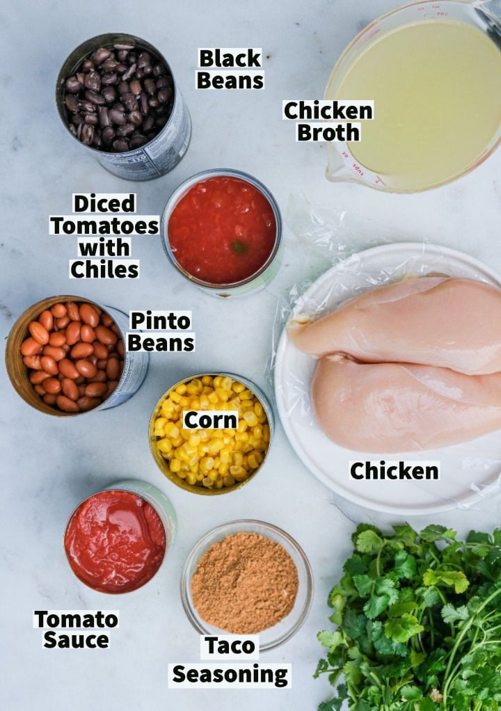 Ingredients to make slow cooker chicken taco soup recipe. 