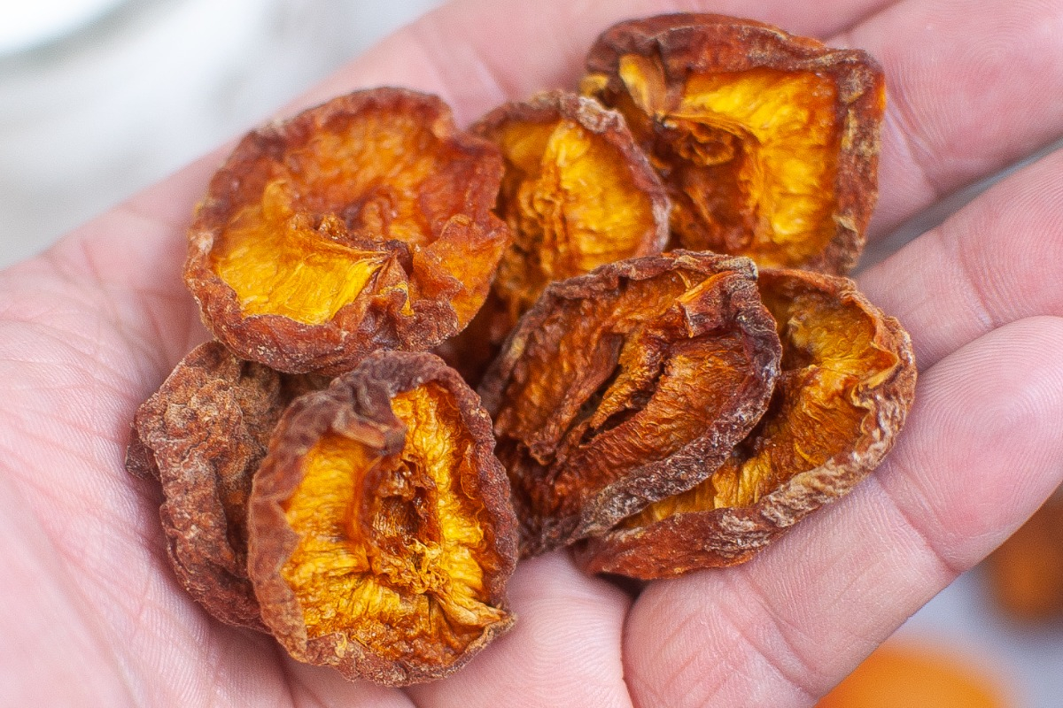 How to Dehydrate Apricots in a Dehydrator The Foodie Affair