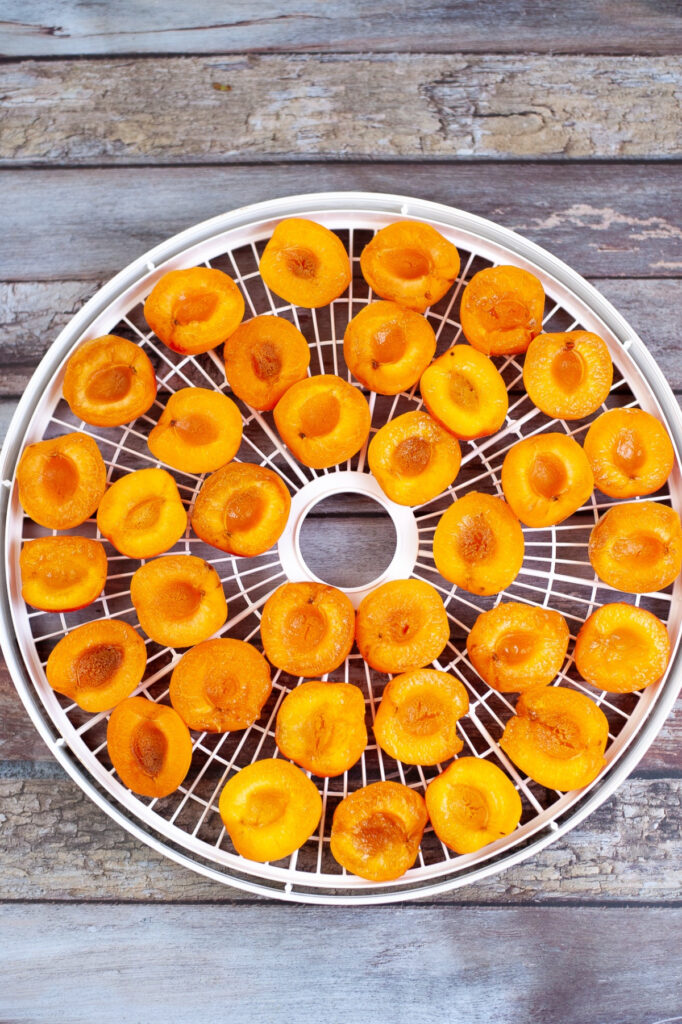 Sliced apricots on a white dehydrator tray.