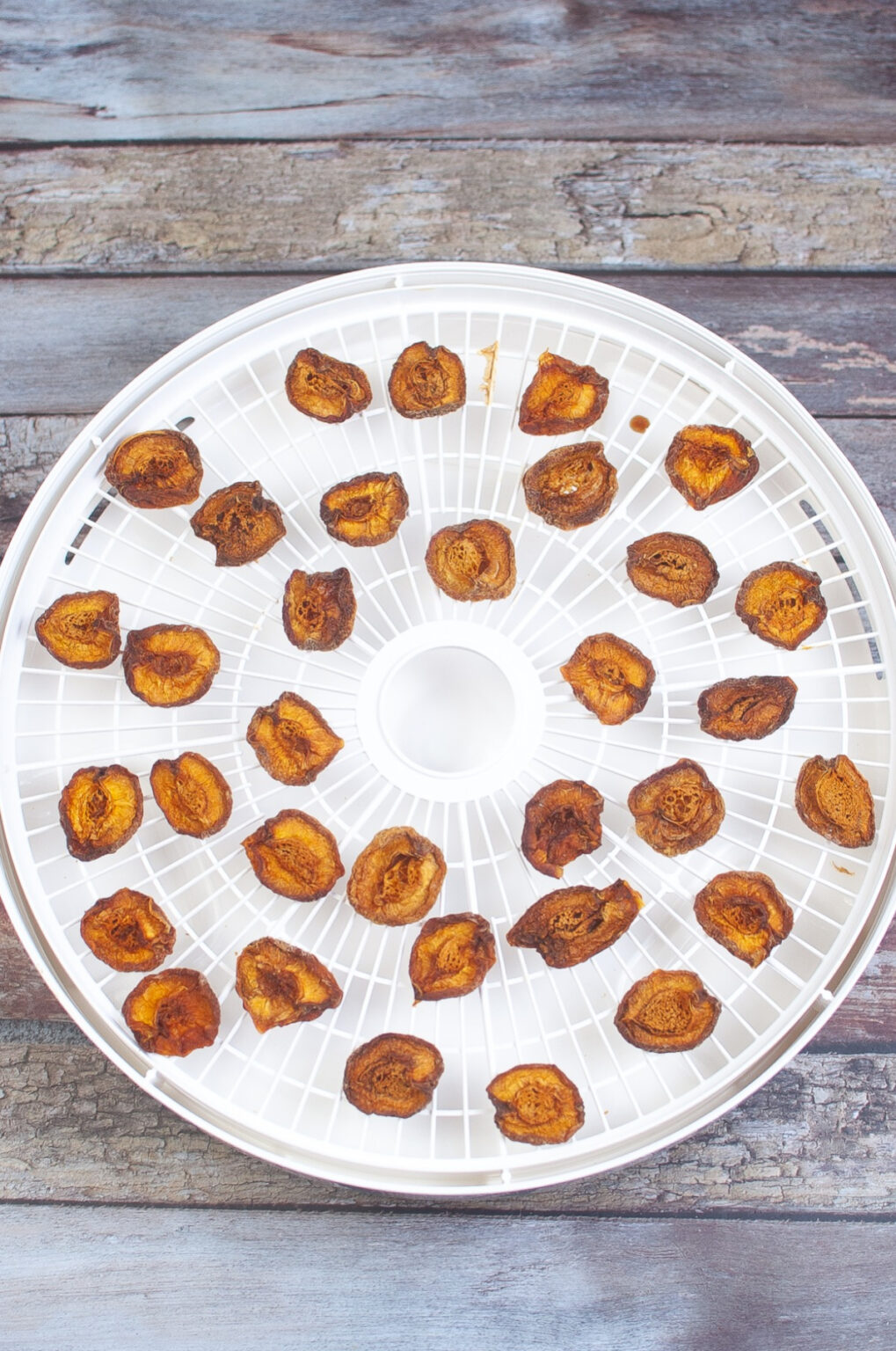 How to Dehydrate Apricots in a Dehydrator The Foodie Affair