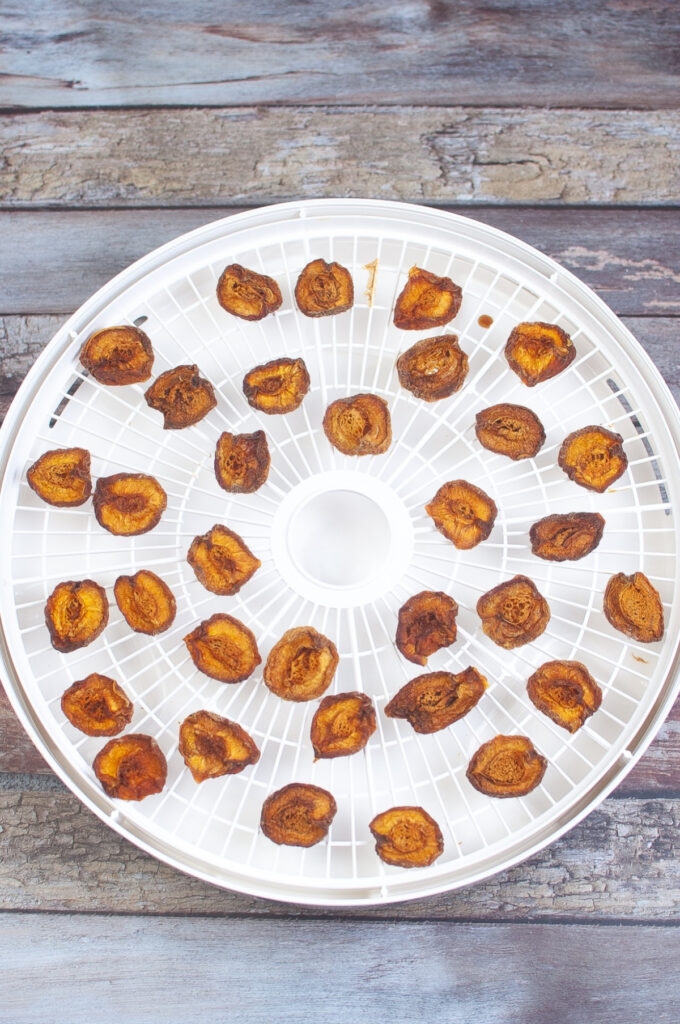 Dried apricots on a white dehydrator tray.