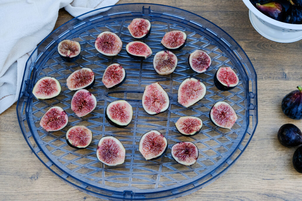 Sliced figs on a drying rack before putting in a dehydrator. 