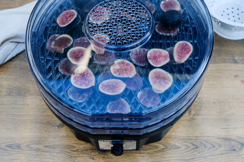 A dehydrator filled with fresh figs before drying. 