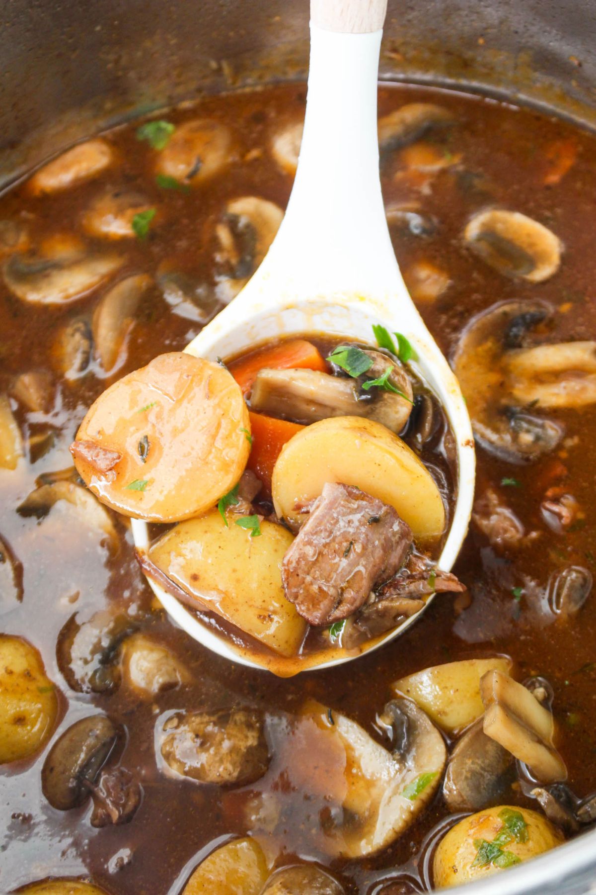 Ladle full of beef bourguignon.