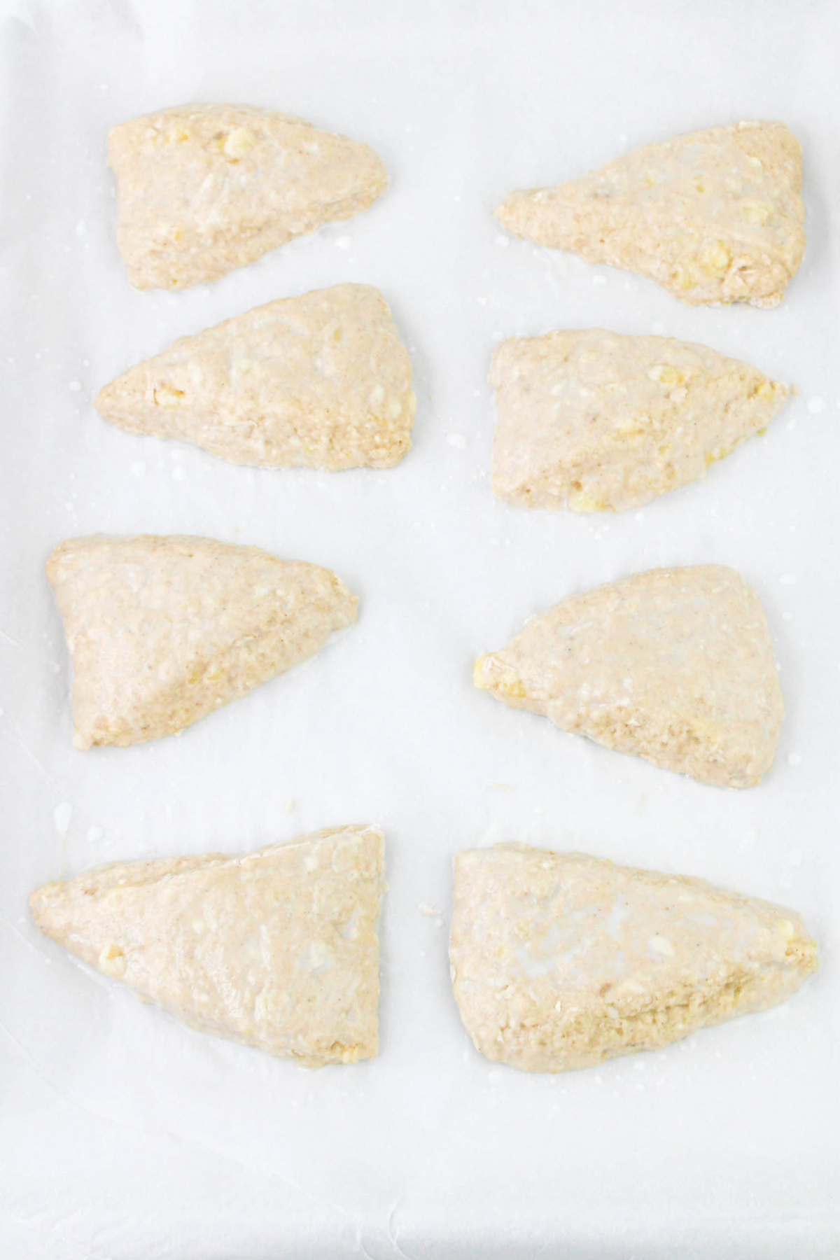 Scones on parchment paper before baking in the oven.