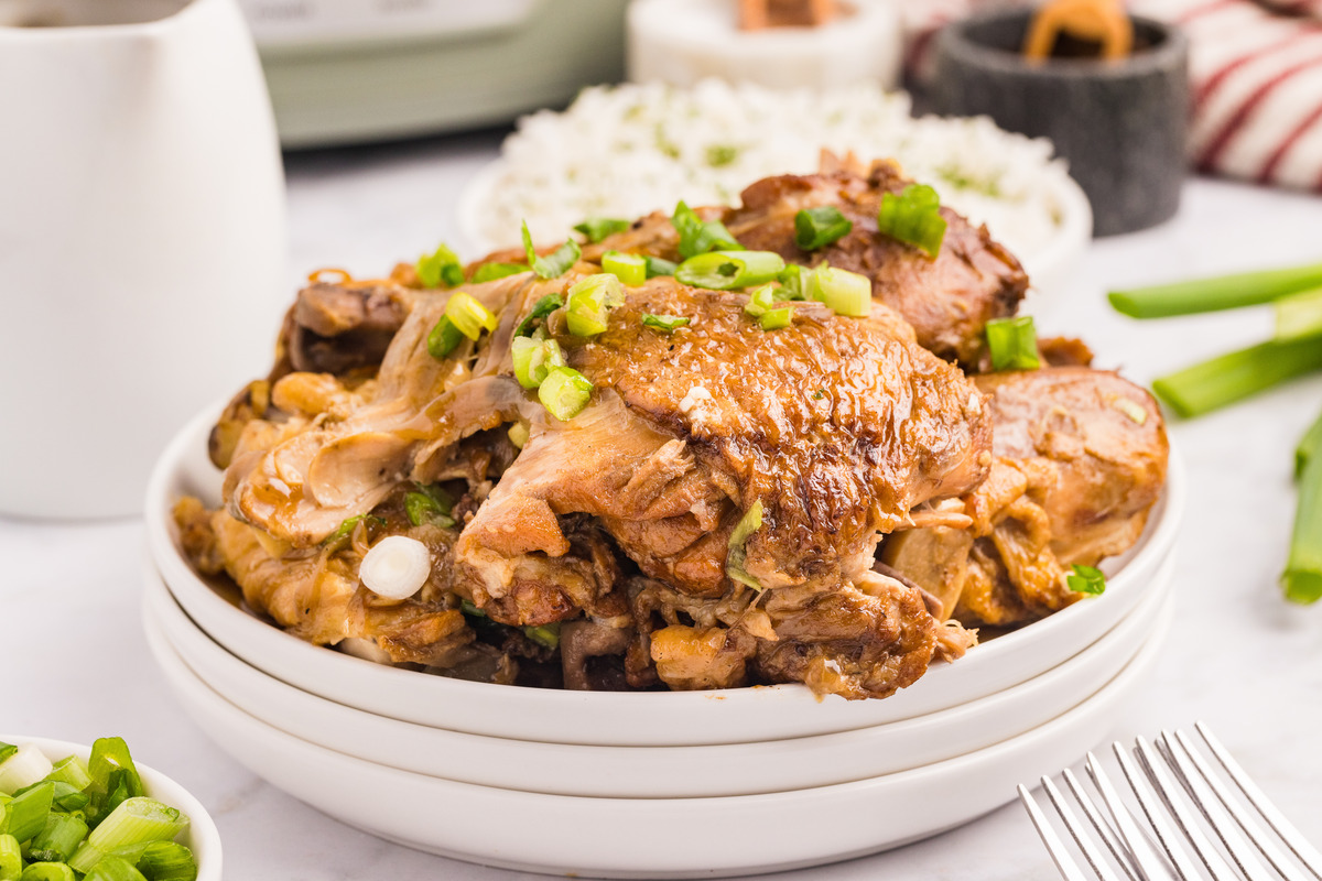 A plate of chicken adobo with rice in the back ready to eat.