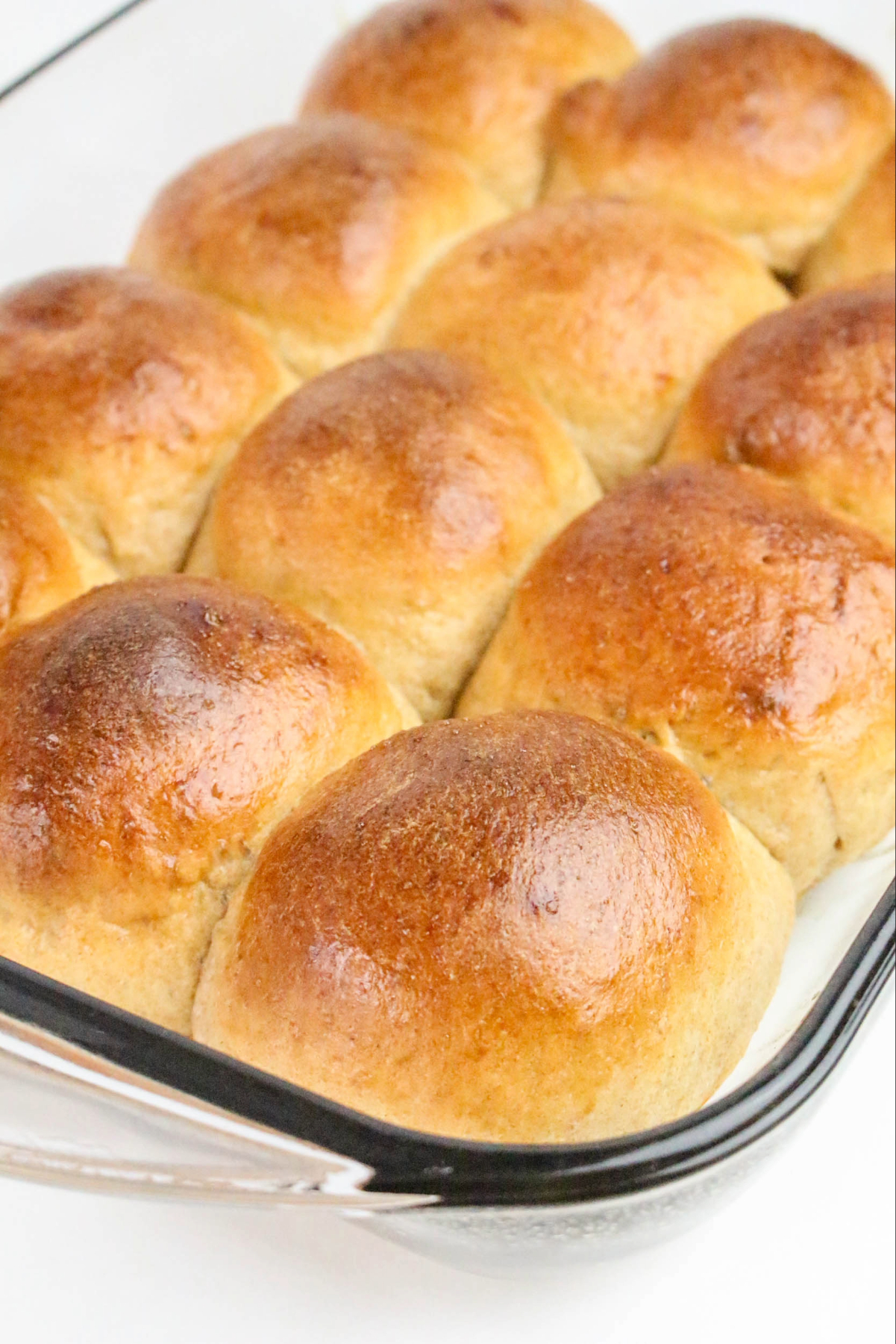 Fresh baked whole wheat rolls in a clear baking dish. 