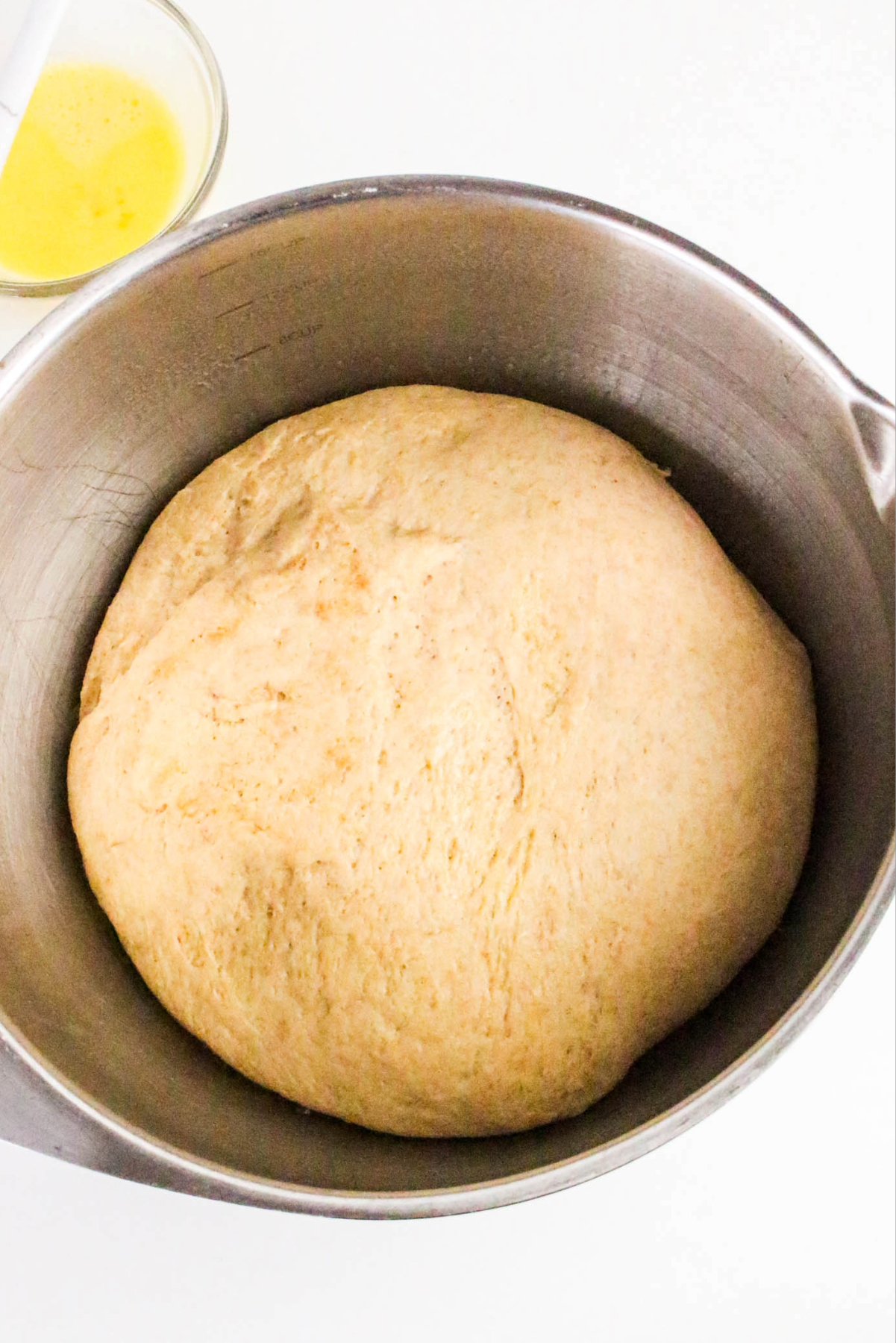 proofed whole wheat dough for dinner rolls.