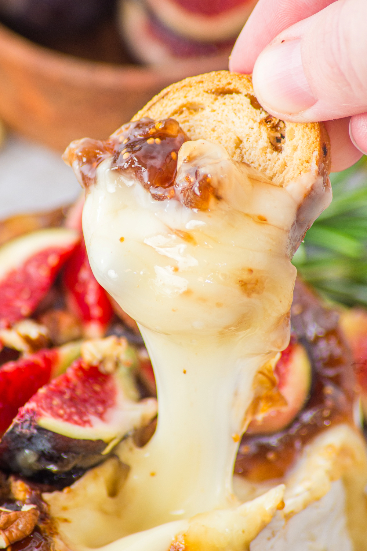 Melted brie scooped with crostini.