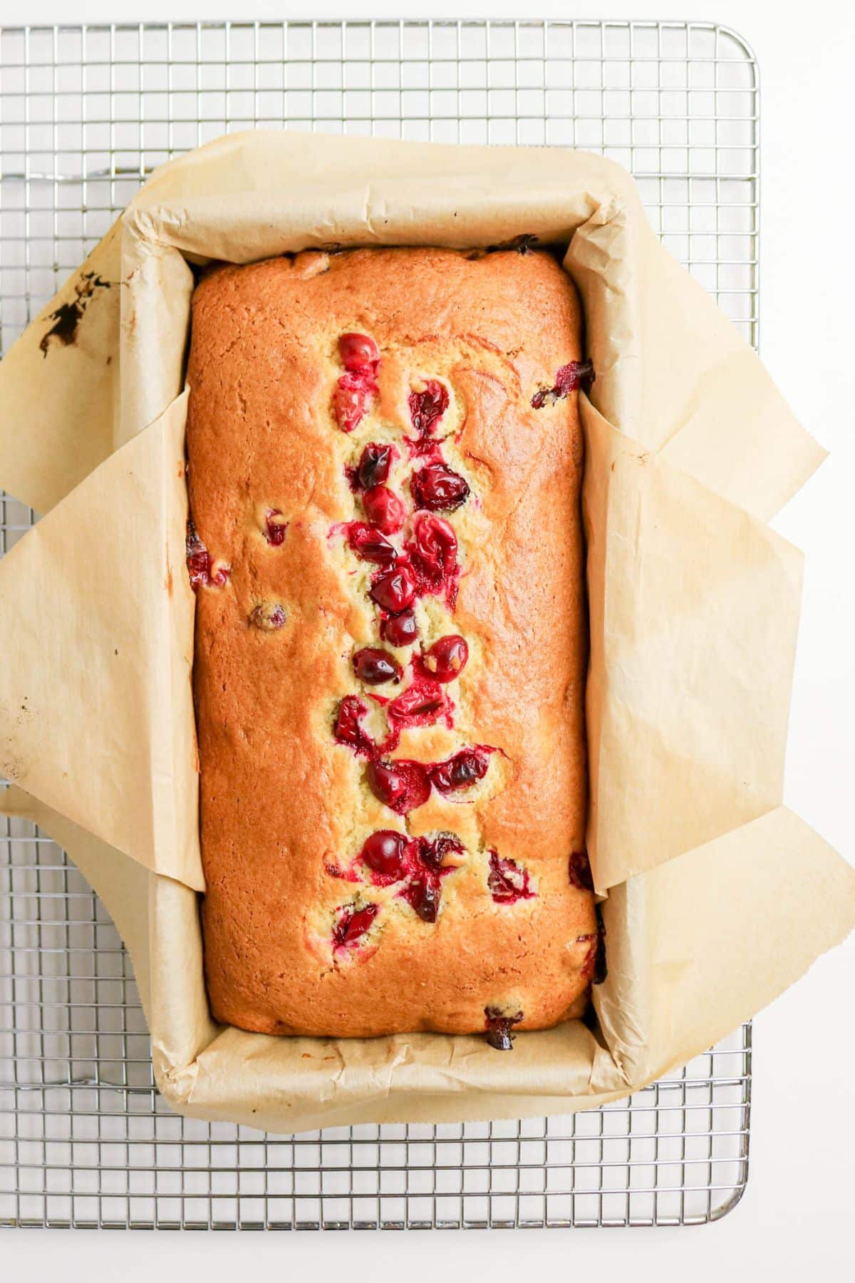Loaf of cranberry bread cooling in a parchment lined loaf pan.