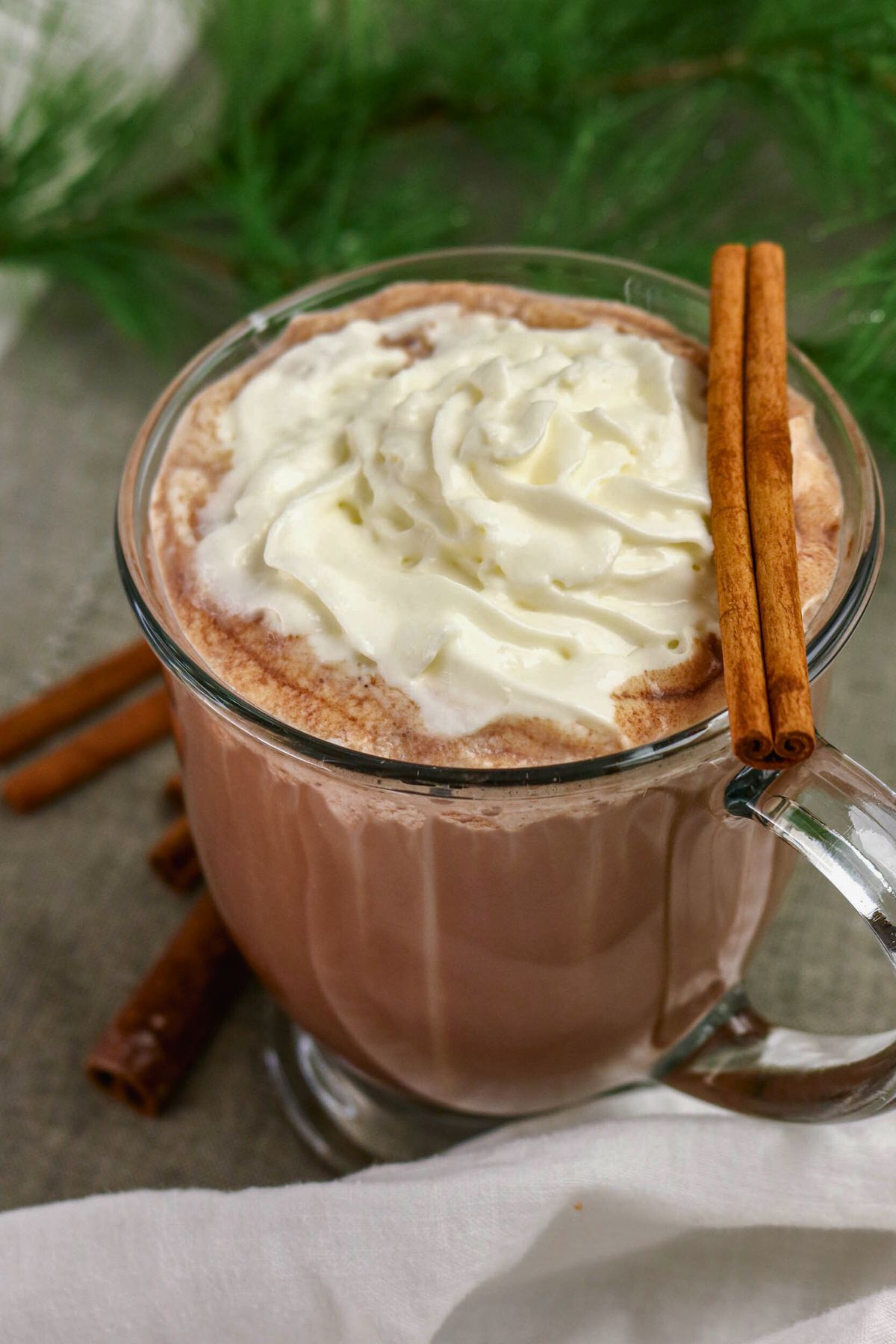 Glass mug of Mexican hot chocolate topped with whipped cream and cinnamon.