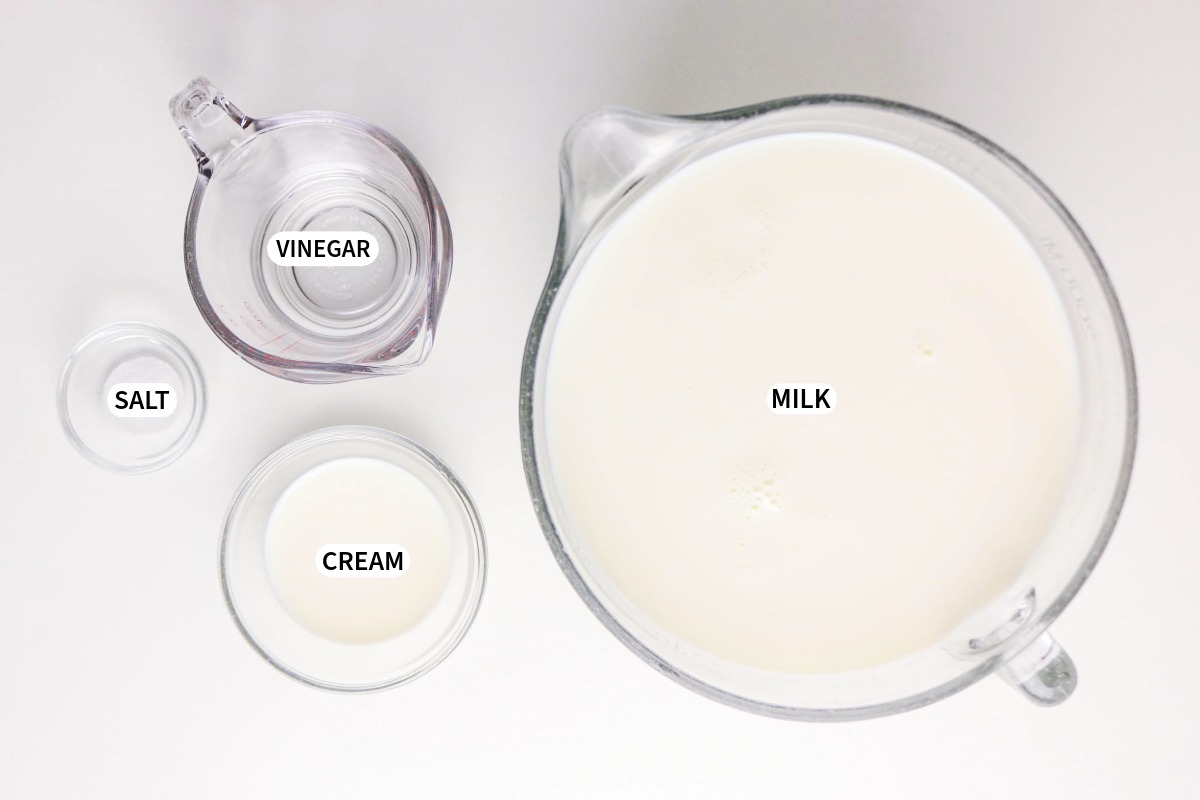 Ingredients to make cottage cheese.